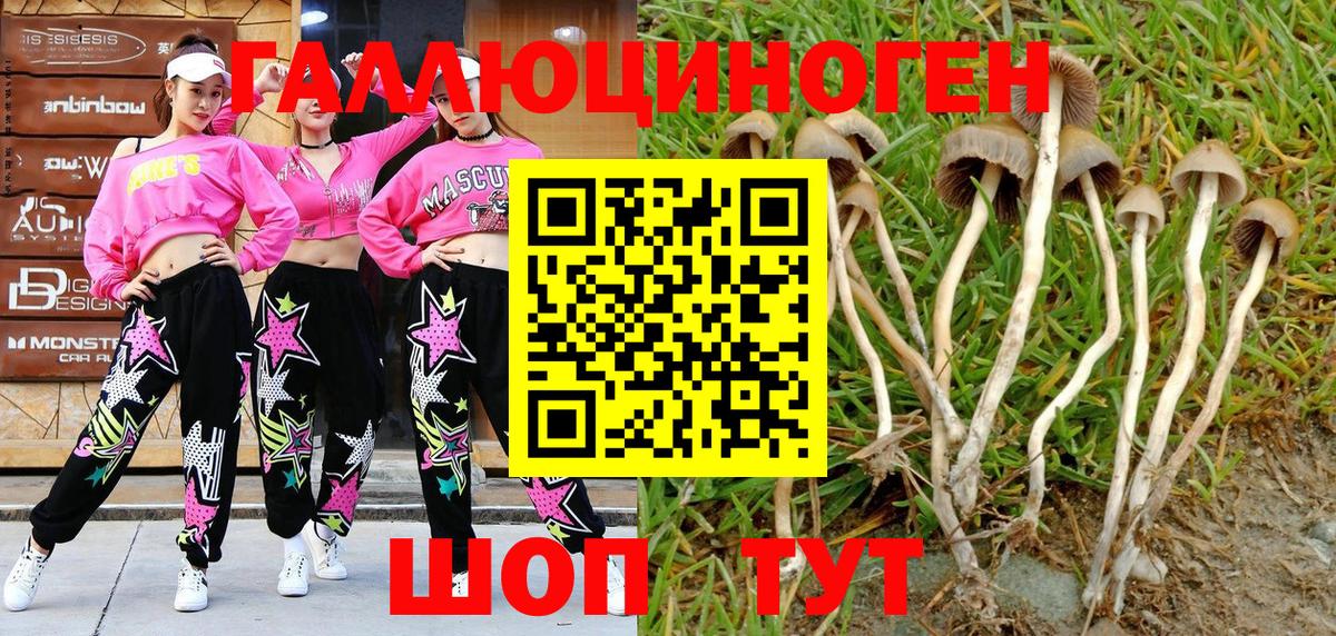 Вейп ТГК  Черногорск  Кокаин  МАРИХУАНА  A PVP СОЛЬ кристаллы  Гашиш  ГЕРОИН  Продажа наркотиков  LSD-25  Меф МЯУ МЯУ кристаллы  Вход с VPN 
